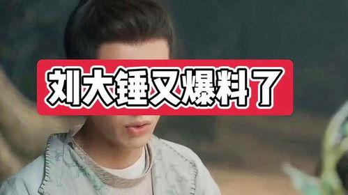 刘大锤爆料啥事件了啊视频,揭秘某重大事件内幕  第1张