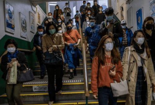 岛内民众爆料视频大全,真实记录社会百态